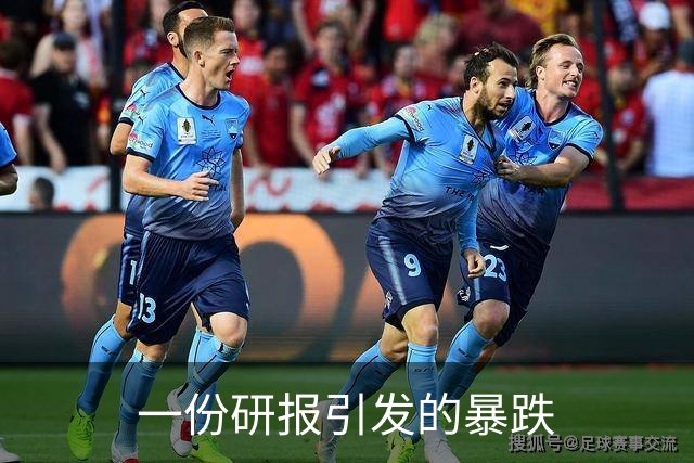一份研报引发的暴跌